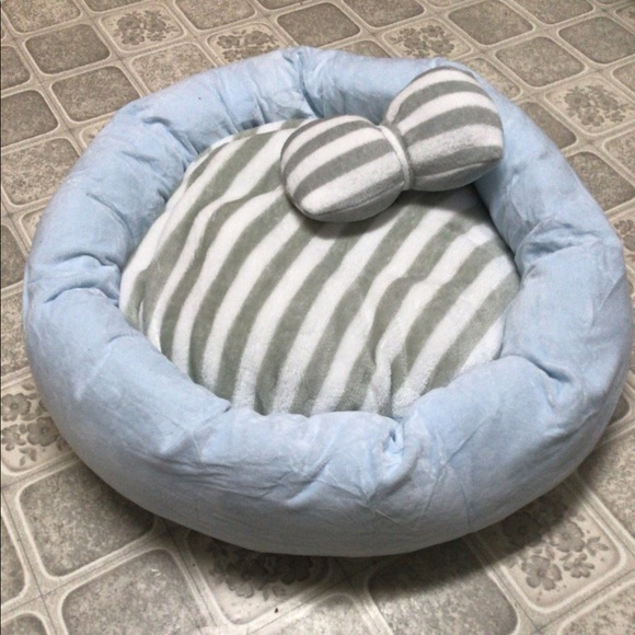 Brand New Dog Bed - Picture 2 of 3